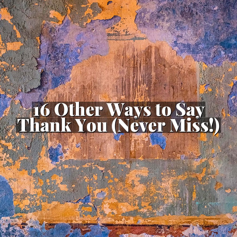 16 Other Ways to Say Thank You (Never Miss!)