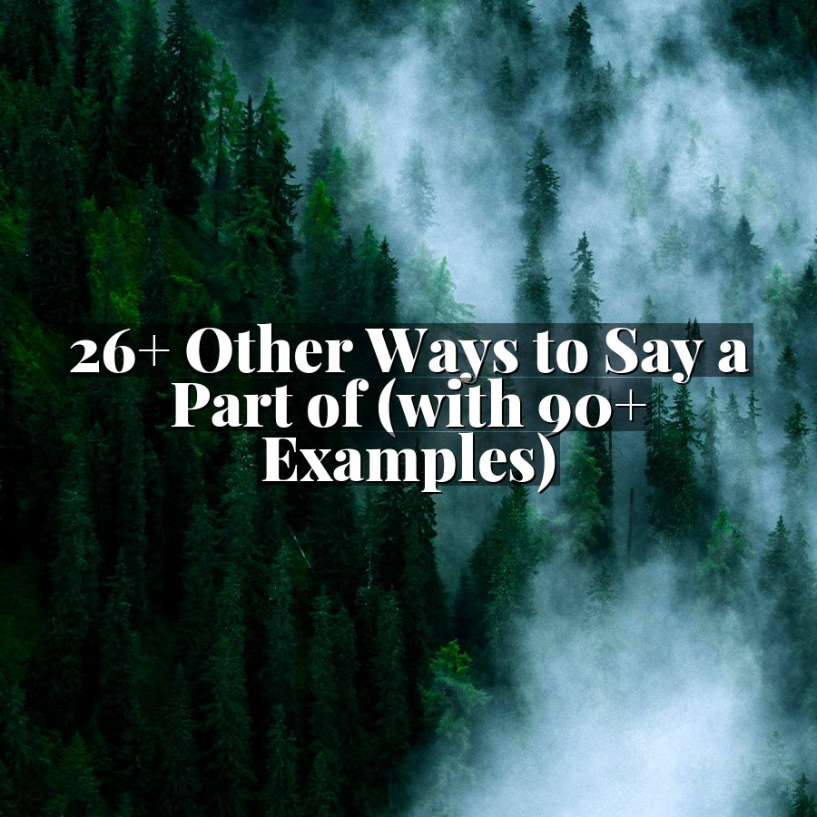 26+ Other Ways to Say a Part of (with 90+ Examples)