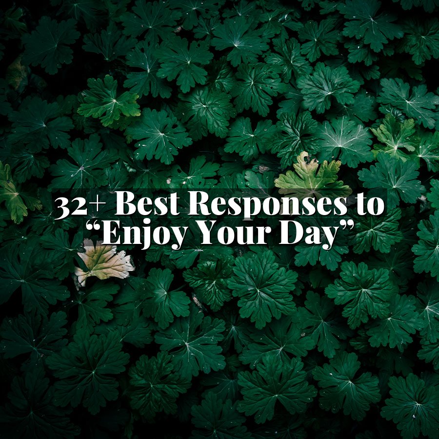 32+ Best Responses to “Enjoy Your Day”