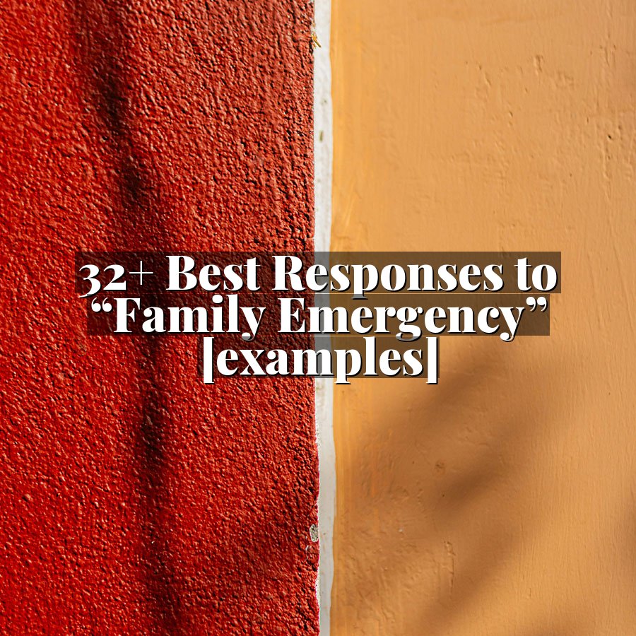 32+ Best Responses to “Family Emergency” [examples]