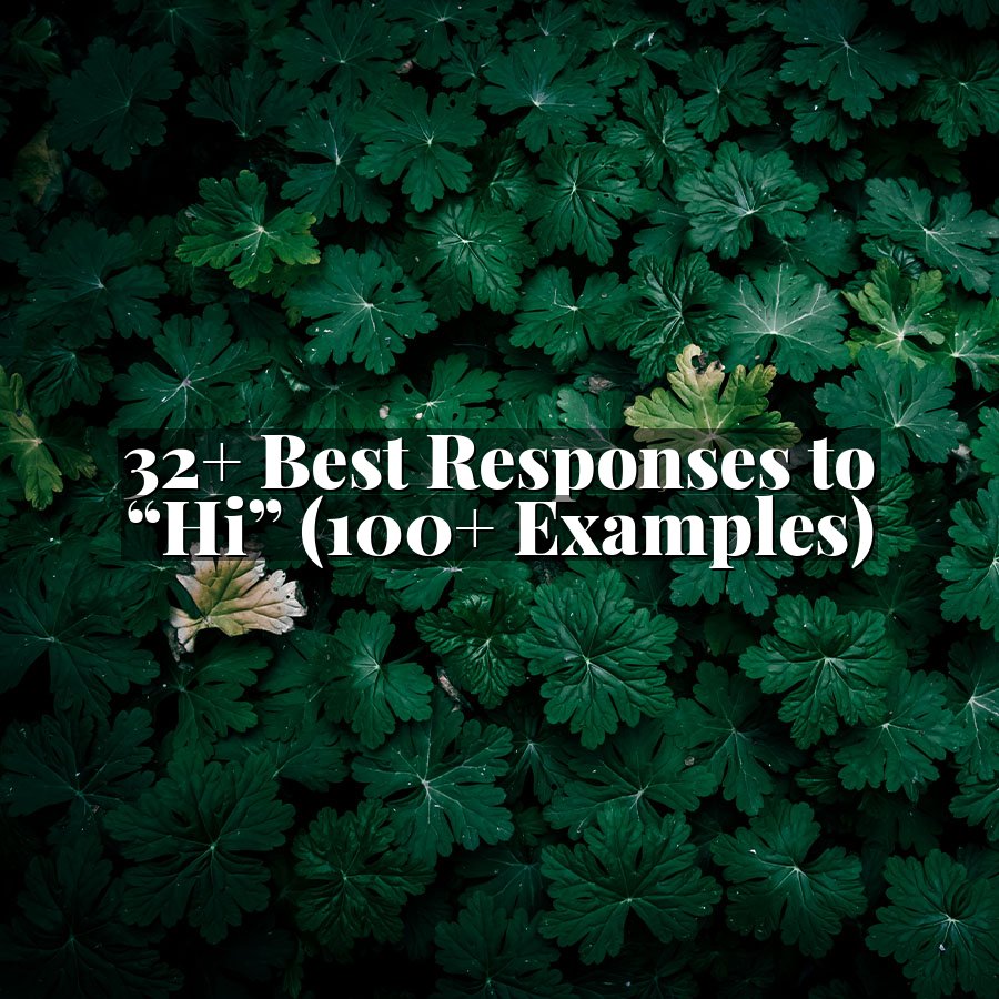 32+ Best Responses to “Hi” (100+ Examples)