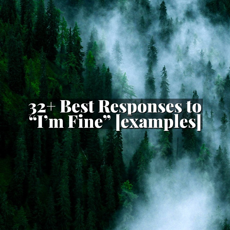 32+ Best Responses to “I’m Fine” [examples]