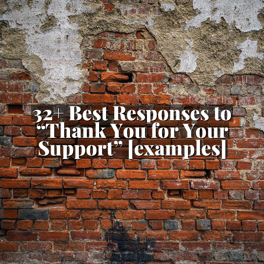 32+ Best Responses to “Thank You for Your Support” [examples]