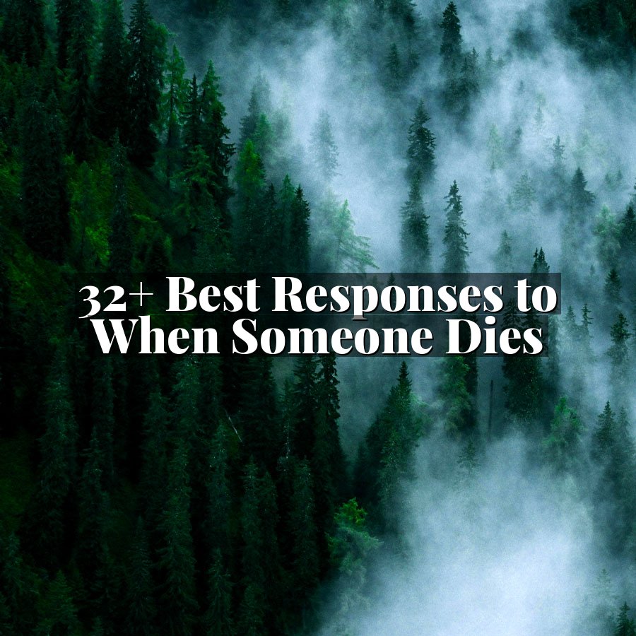 32+ Best Responses to When Someone Dies