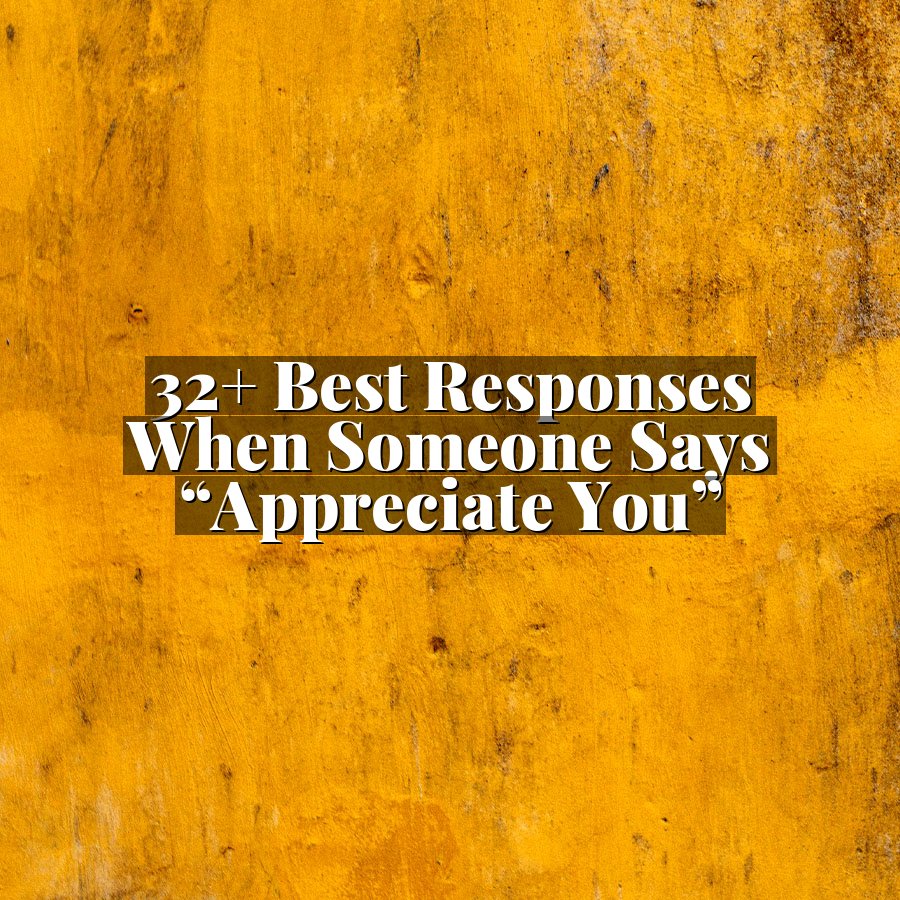 32+ Best Responses When Someone Says “Appreciate You”