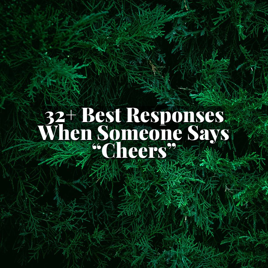 32+ Best Responses When Someone Says “Cheers”