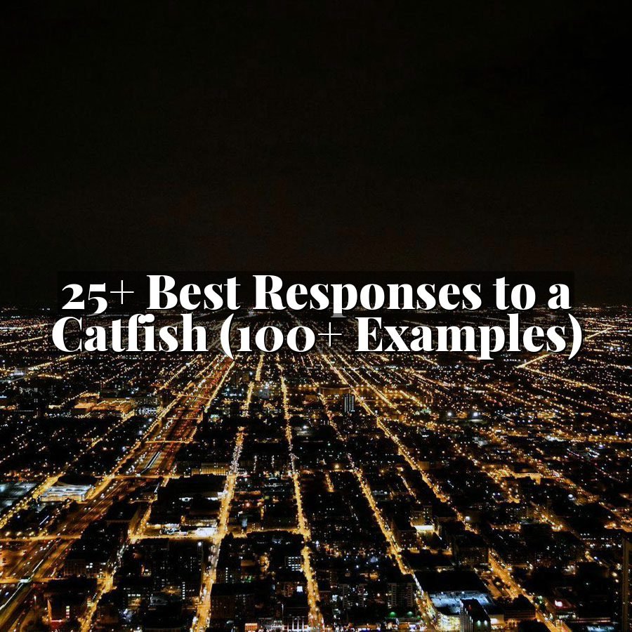 25+ Best Responses to a Catfish (100+ Examples)