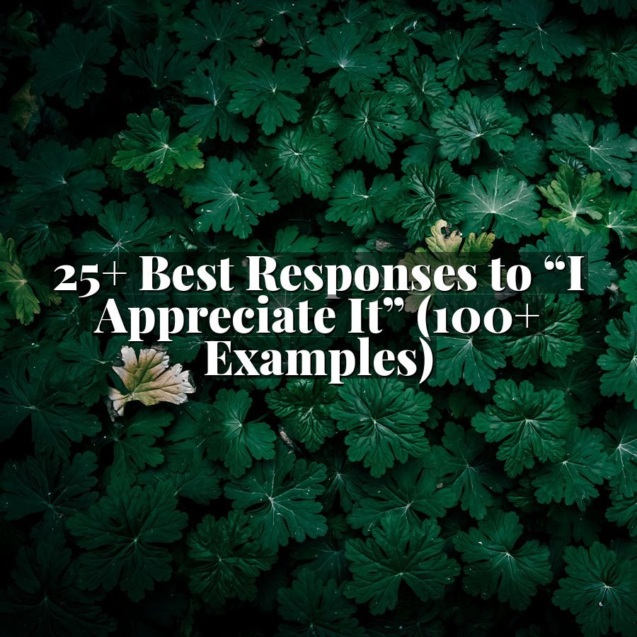 25+ Best Responses to “I Appreciate It” (100+ Examples)