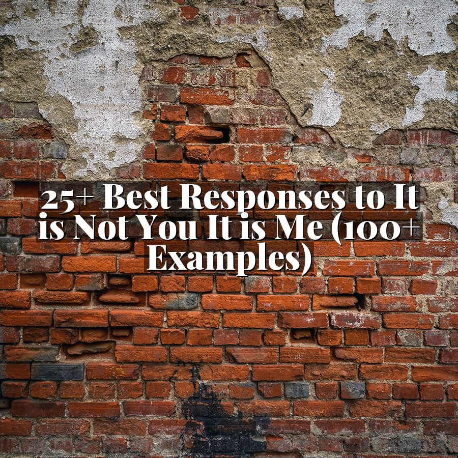 25+ Best Responses to It is Not You It is Me (100+ Examples)