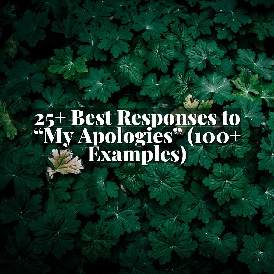 25+ Best Responses to “My Apologies” (100+ Examples)