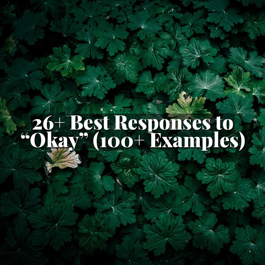 26+ Best Responses to “Okay” (100+ Examples)