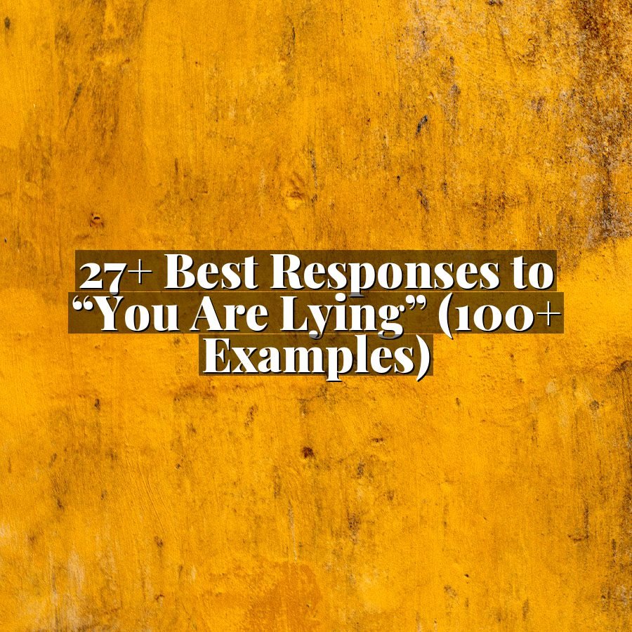 27+ Best Responses to “You Are Lying” (100+ Examples)
