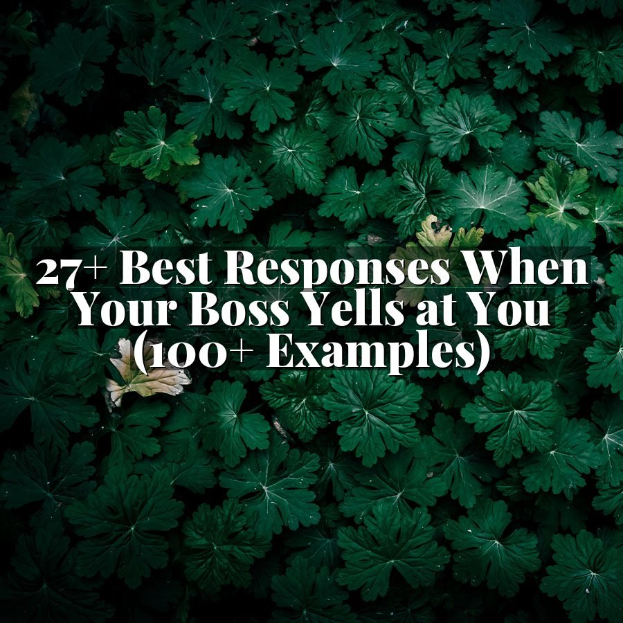 27+ Best Responses When Your Boss Yells at You (100+ Examples)