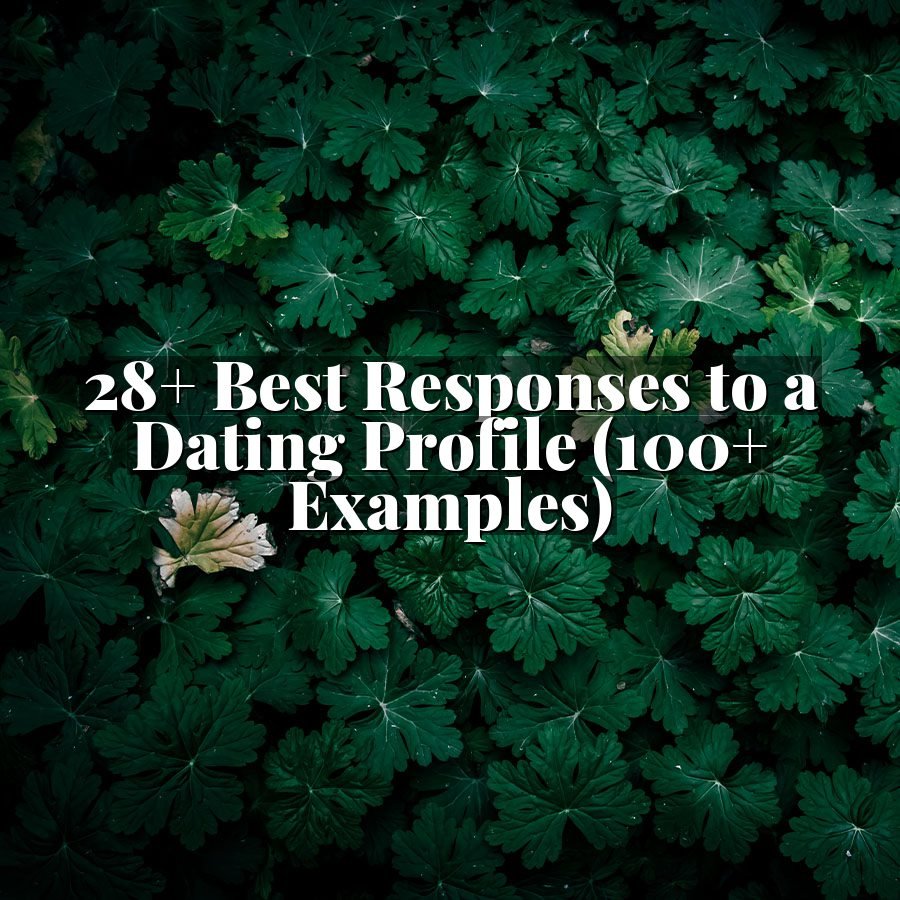 28+ Best Responses to a Dating Profile (100+ Examples)