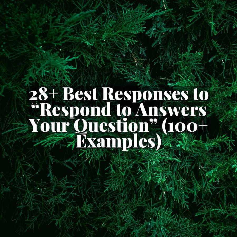 28+ Best Responses to “Respond to Answers Your Question” (100+ Examples)