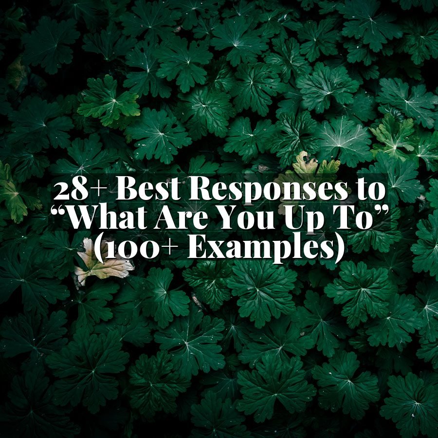 28+ Best Responses to “What Are You Up To” (100+ Examples)