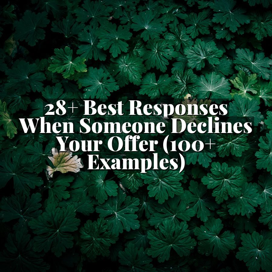 28+ Best Responses When Someone Declines Your Offer (100+ Examples)