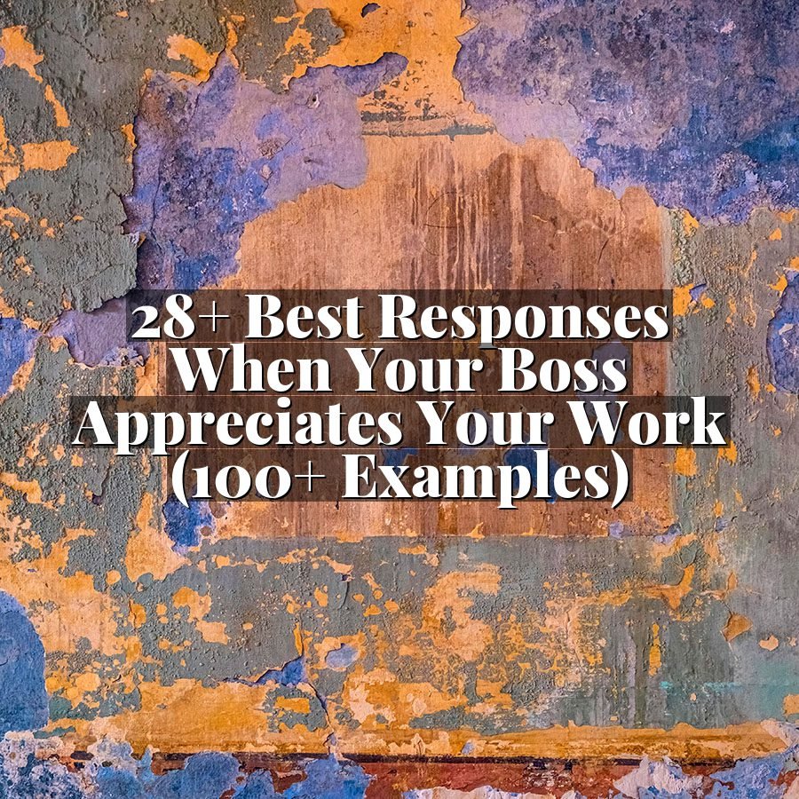 28+ Best Responses When Your Boss Appreciates Your Work (100+ Examples)