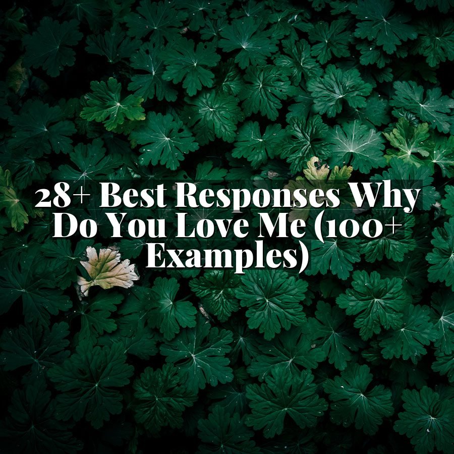 28+ Best Responses Why Do You Love Me (100+ Examples)