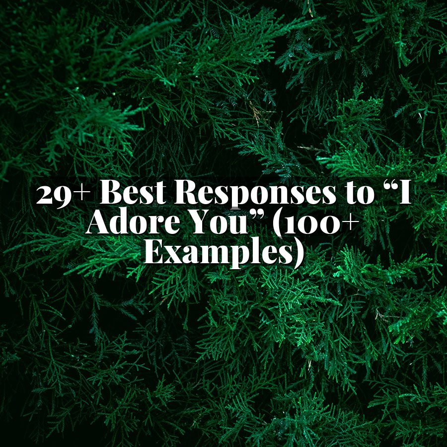 29+ Best Responses to “I Adore You” (100+ Examples)