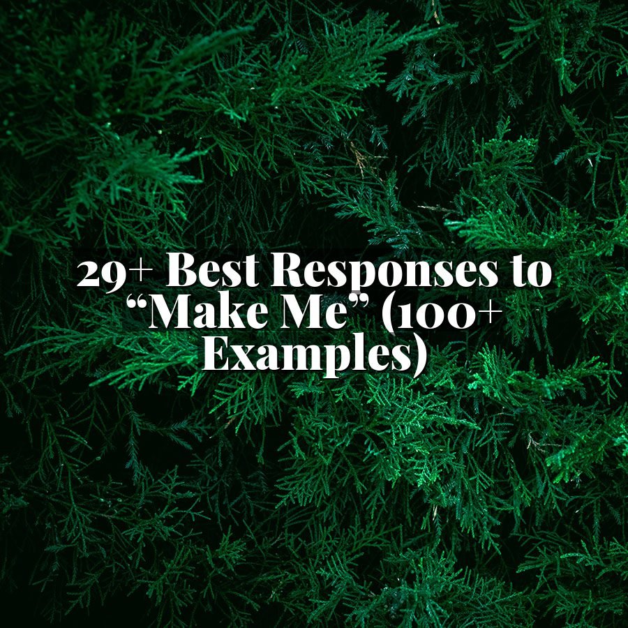29+ Best Responses to “Make Me” (100+ Examples)