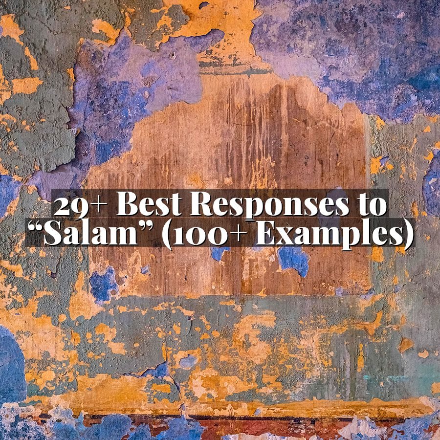 29+ Best Responses to “Salam” (100+ Examples)