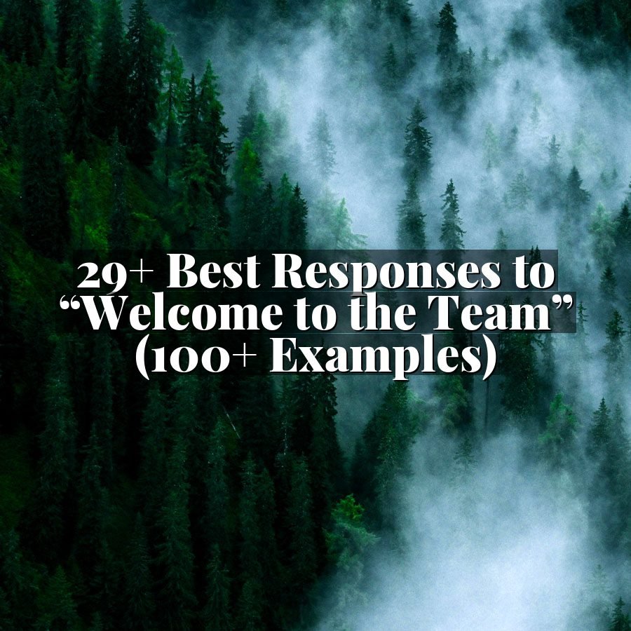 29+ Best Responses to “Welcome to the Team” (100+ Examples)