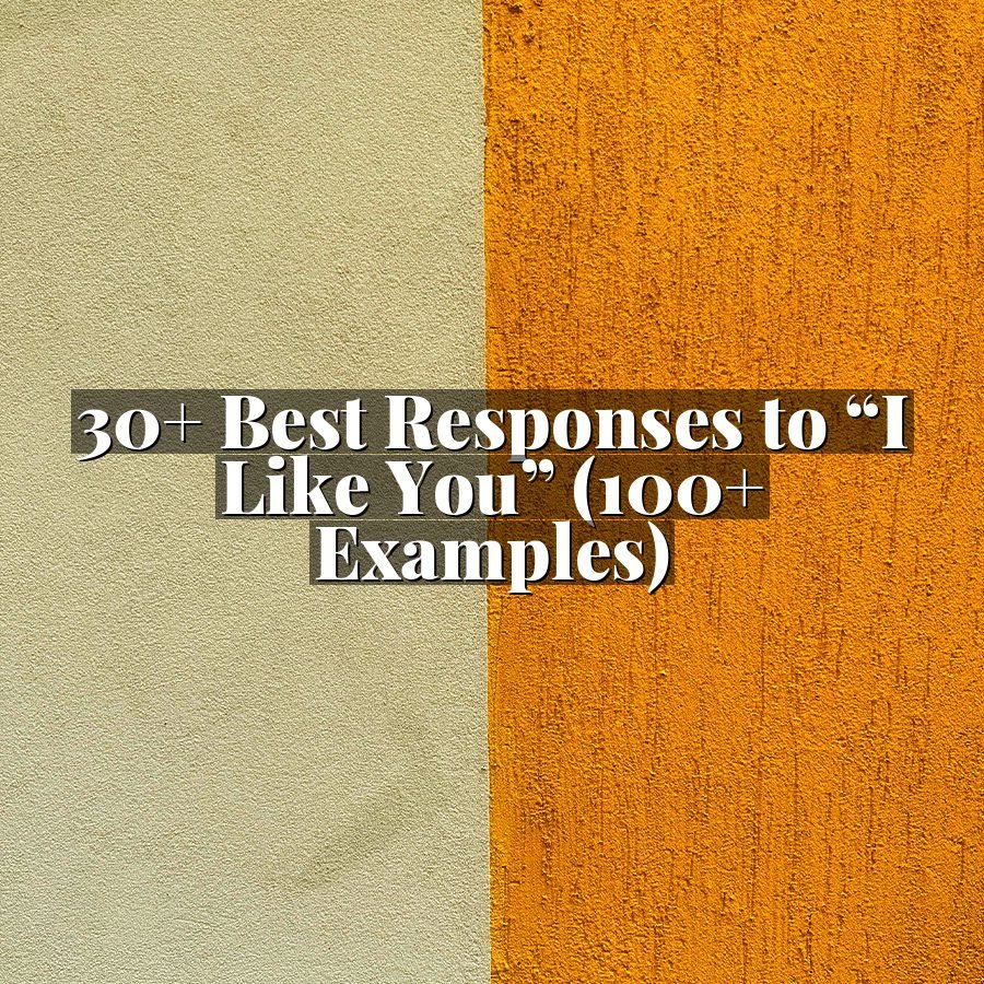 30+ Best Responses to “I Like You” (100+ Examples)