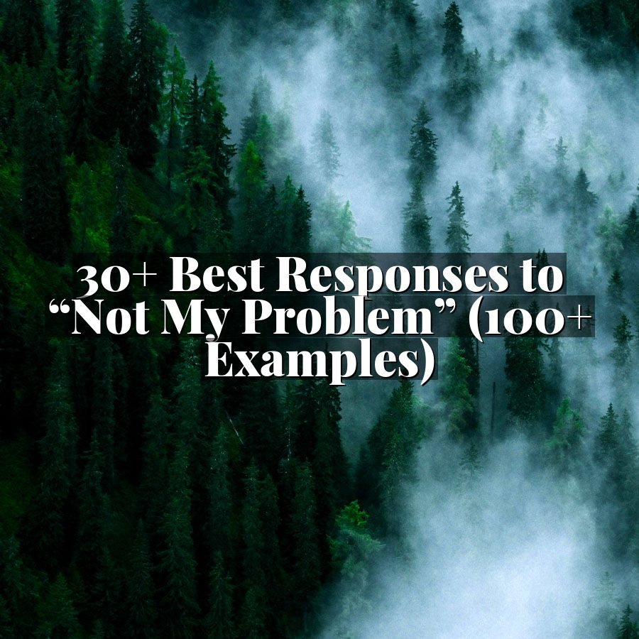 30+ Best Responses to “Not My Problem” (100+ Examples)