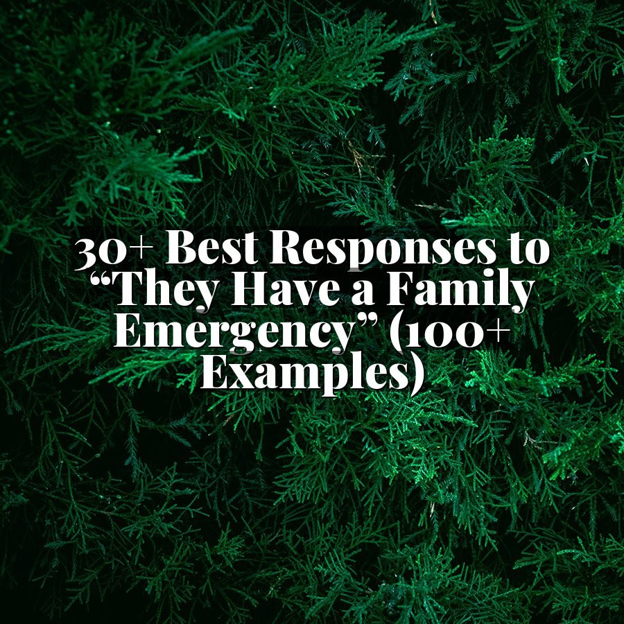 30+ Best Responses to “They Have a Family Emergency” (100+ Examples)