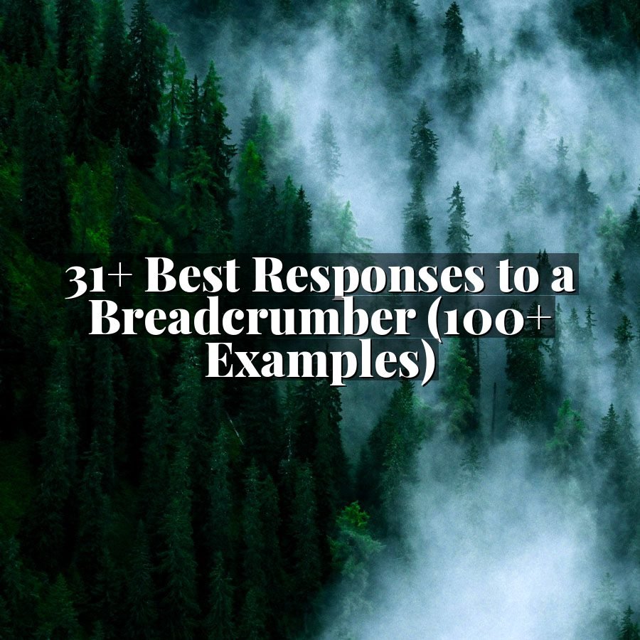 31+ Best Responses to a Breadcrumber (100+ Examples)