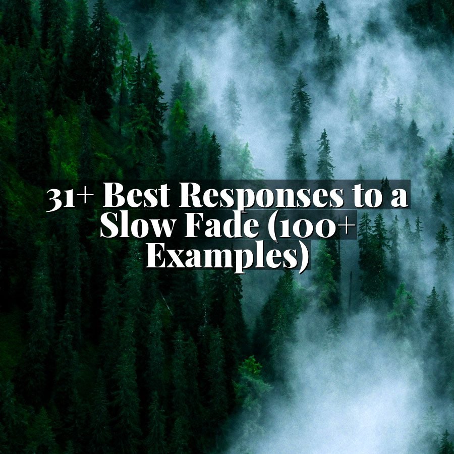 31+ Best Responses to a Slow Fade (100+ Examples)