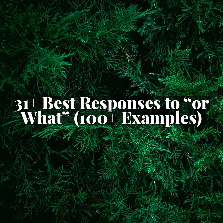 31+ Best Responses to “or What” (100+ Examples)