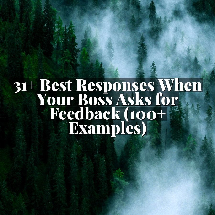 31+ Best Responses When Your Boss Asks for Feedback (100+ Examples)