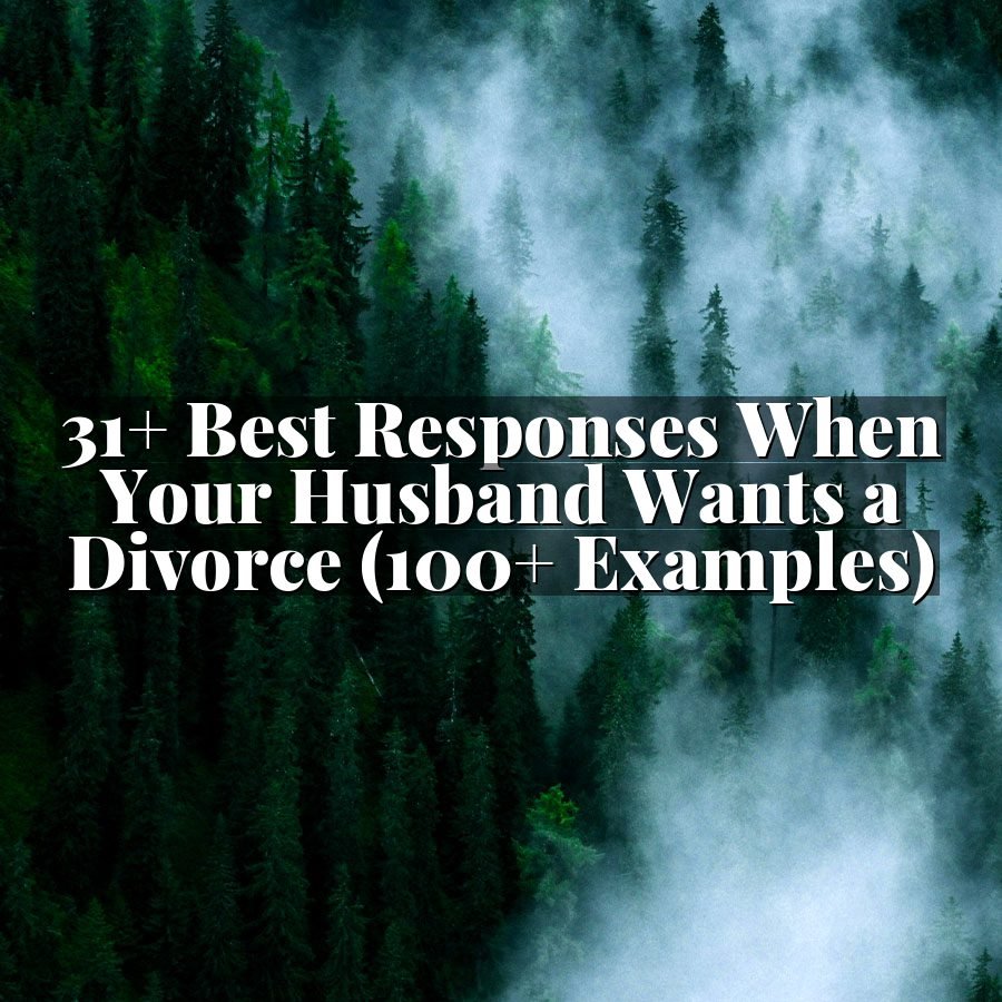 31+ Best Responses When Your Husband Wants a Divorce (100+ Examples)
