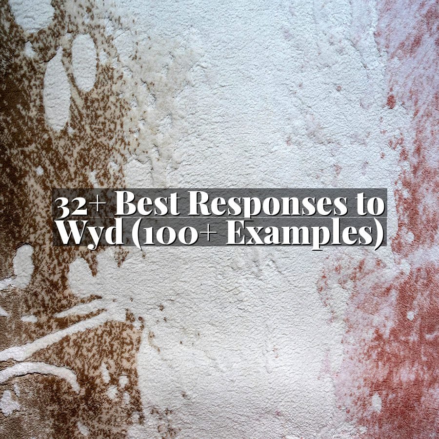 32+ Best Responses to Wyd (100+ Examples)