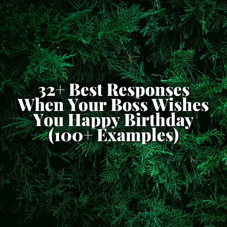 32+ Best Responses When Your Boss Wishes You Happy Birthday (100+ Examples)
