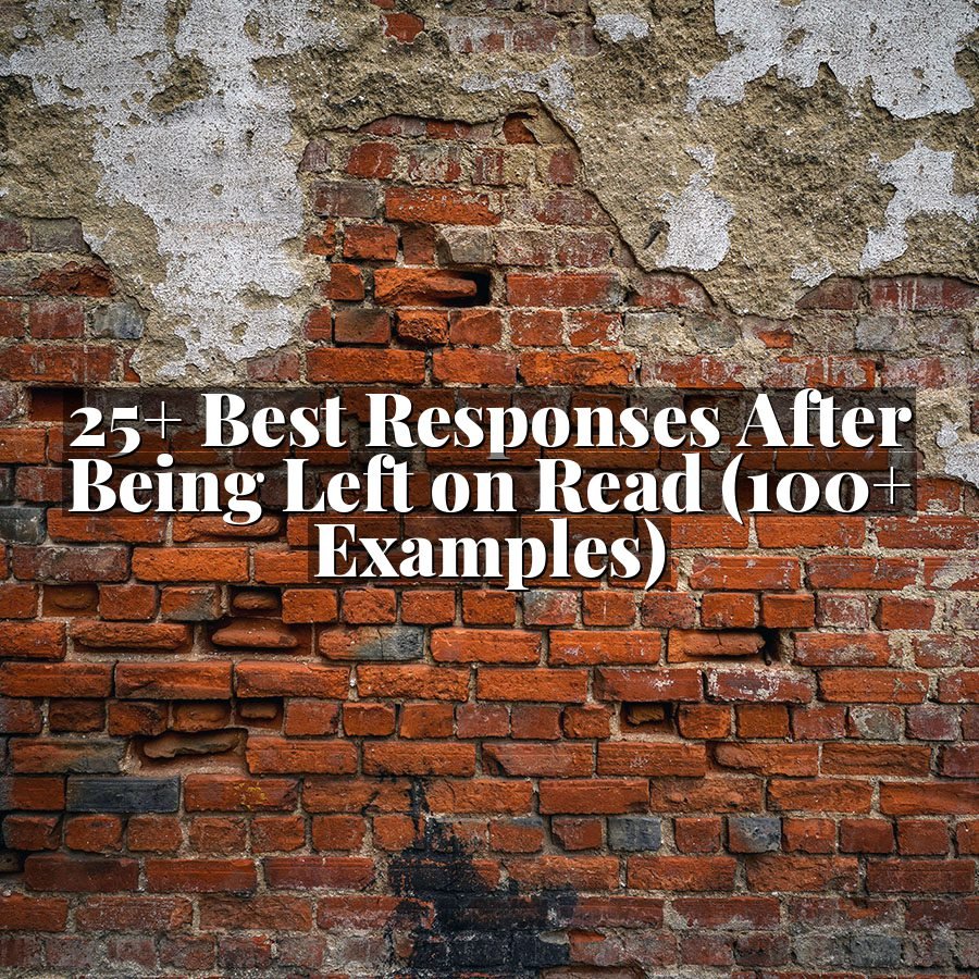 25+ Best Responses After Being Left on Read (100+ Examples)