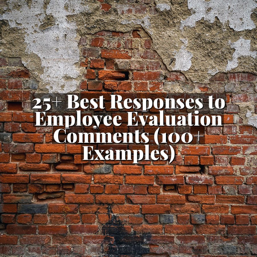 25+ Best Responses to Employee Evaluation Comments (100+ Examples)