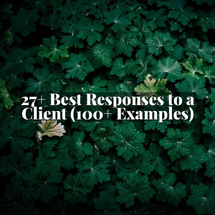 27+ Best Responses to a Client (100+ Examples)
