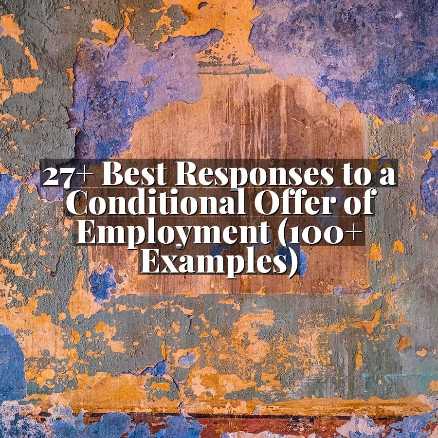 27+ Best Responses to a Conditional Offer of Employment (100+ Examples)