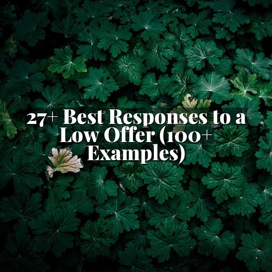 27+ Best Responses to a Low Offer (100+ Examples)