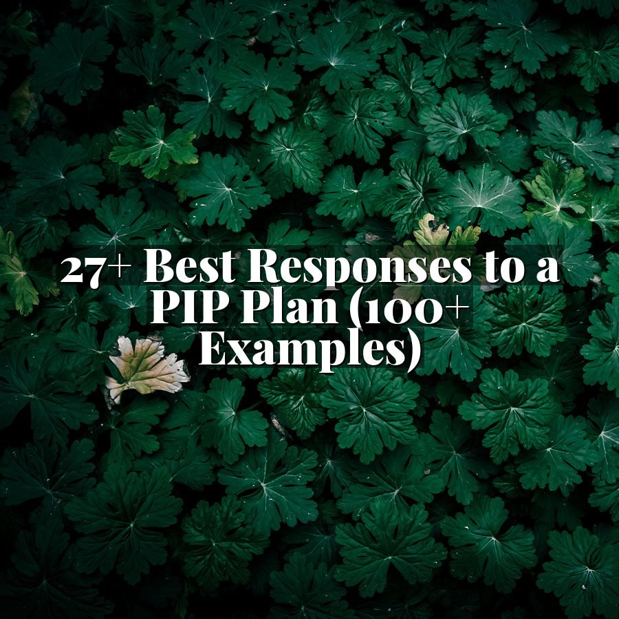 27+ Best Responses to a PIP Plan (100+ Examples)