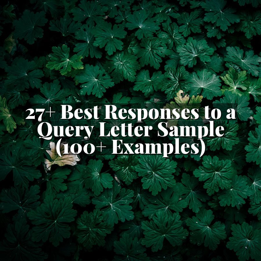 27+ Best Responses to a Query Letter Sample (100+ Examples)