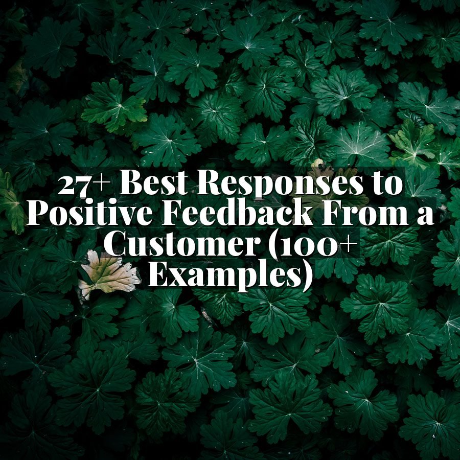 27+ Best Responses to Positive Feedback From a Customer (100+ Examples)