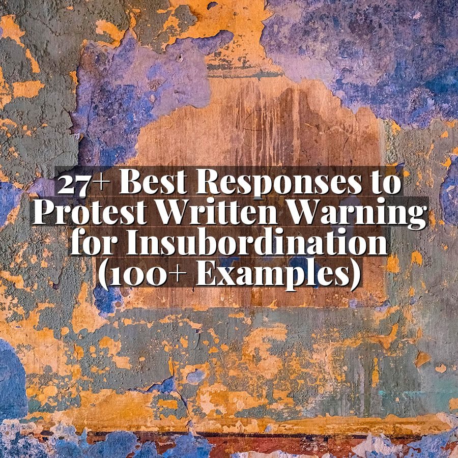 27+ Best Responses to Protest Written Warning for Insubordination (100+ Examples)