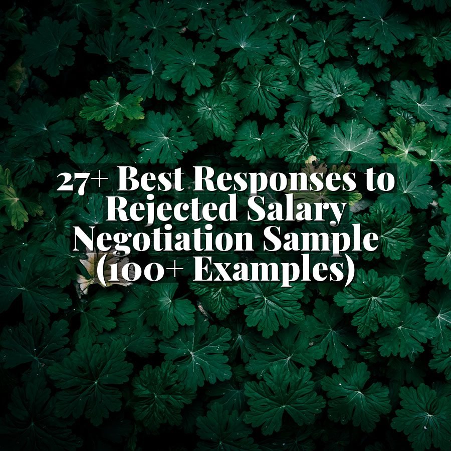 27+ Best Responses to Rejected Salary Negotiation Sample (100+ Examples)