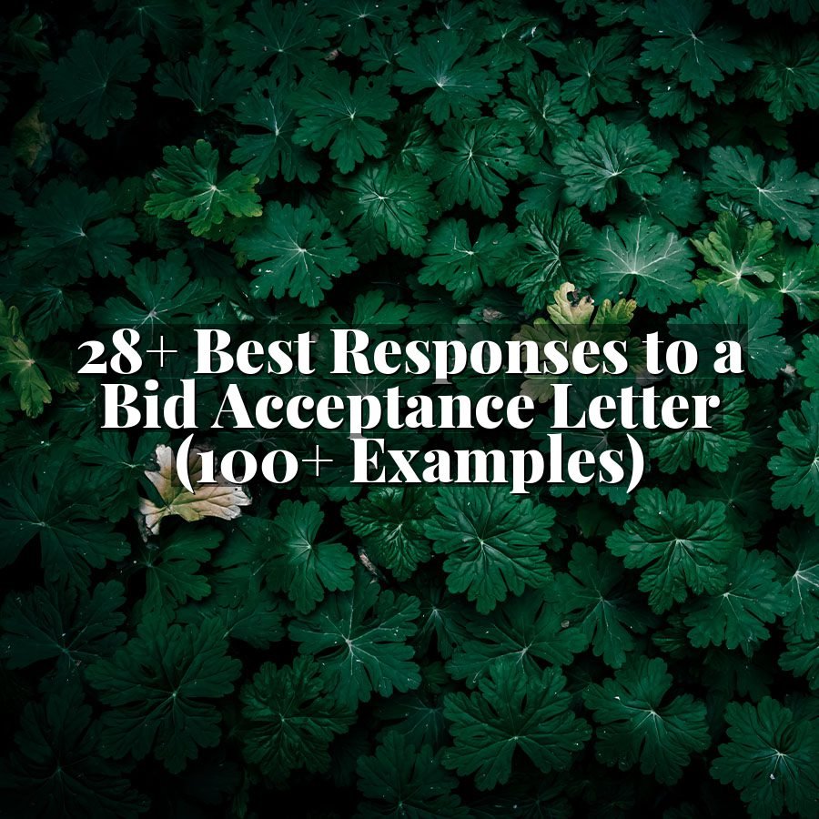 28+ Best Responses to a Bid Acceptance Letter (100+ Examples)