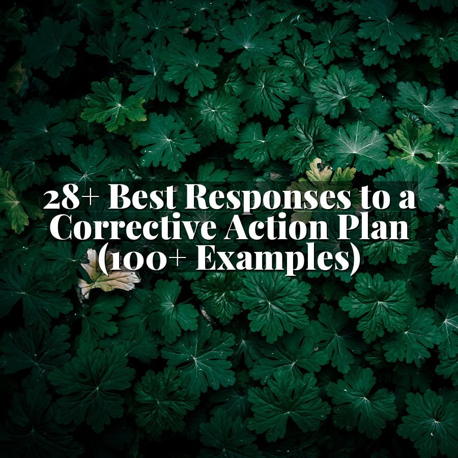 28+ Best Responses to a Corrective Action Plan (100+ Examples)