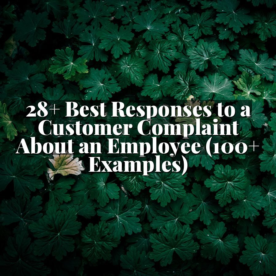 28+ Best Responses to a Customer Complaint About an Employee (100+ Examples)